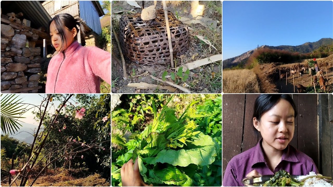 Summer Season🤧//Aaru Fulna Thalexa