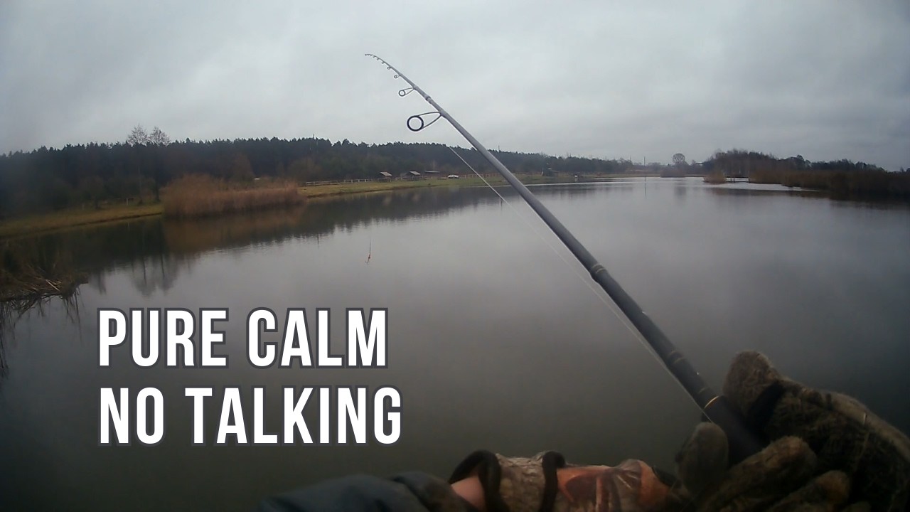 Calm Fishing Atmosphere — Relaxing Nature Ambience