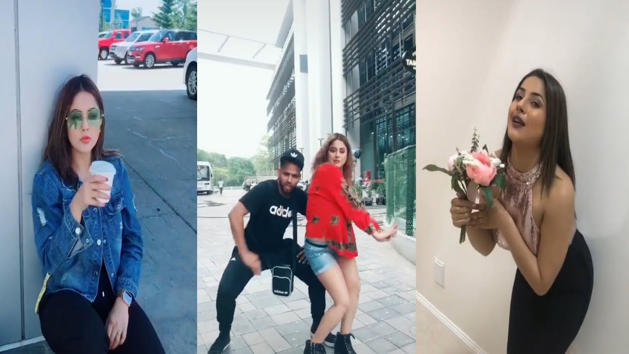 💝Shehnaz Gill 💘💘 New Tiktok Videos 2020 || shehnaz Gill Best Tiktok Videos
