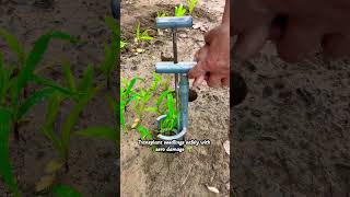 Smart Transplanting Tool for Healthy Plants#farming #easyfarming