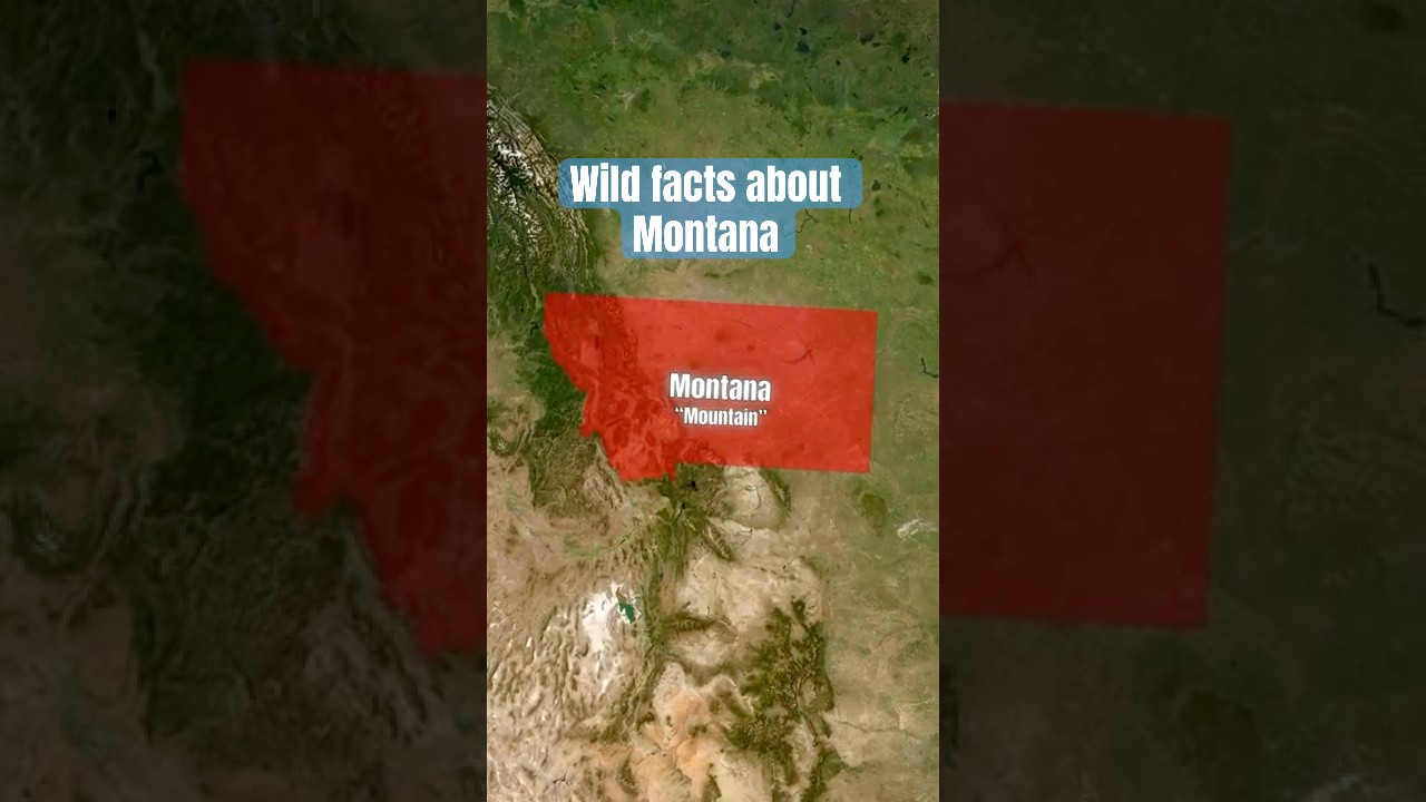 Знаете ли вы эти факты о дикой природе Монтаны?