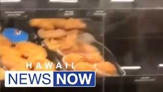 DOH investigating after viral video shows rats in Honolulu Safeway