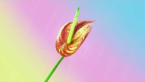 Ineffekt, Sky Civilian - Vesper