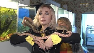 «Хорошее утро» в мире животных «Хорошее утро» в мире животных