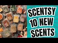 10 new Fall / Winter Scentsy Scents