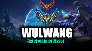 이런 애니비아 본적 없을 겁니다[S13-2 Anivia Montage]