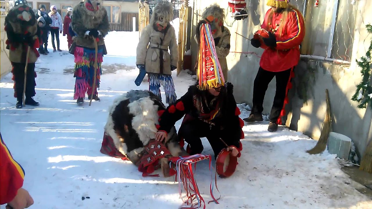 Capra de la Roman 2014-2015 !