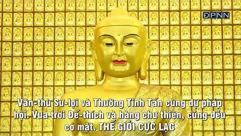 Trực Tiếp Trì tụng Kinh A Di Đà tại Chùa Giác Ngộ, ngày 9 tháng 11 năm 2024