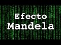 EL EFECTO MANDELA | El Experimento Social más sorprendente
