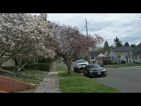 Видео: Разве U повороты незаконны в штате Вашингтон?
