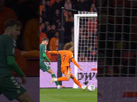 Xavi Simons creating space &amp; finishing strong! 💥 #NothingLikeOranje #FIFAWorldCup