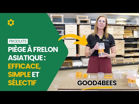 Piège GOOD4BEES : la solution sélective contre le frelon asiatique
