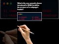 html interview questions and answers