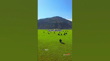 ف د ع ا ر ب ه أ ن ي م غ ل وب ف انت ص ر عبد الباسط عبد الصمد 