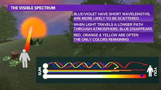 Why are sunrises and sunsets so colorful? Profile