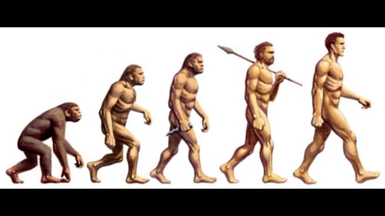 Как получить human. Эволюция человека хомо сапиенс. Эволюция Дарвин хомо сапиенс. Эволюция человека от обезьяны до человека хомо сапиенс. Эволюция Дарвин хомо Эректус.