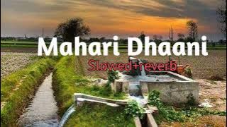 Mahari Dhaani main (slowed reverb) |  Haryanvi song
