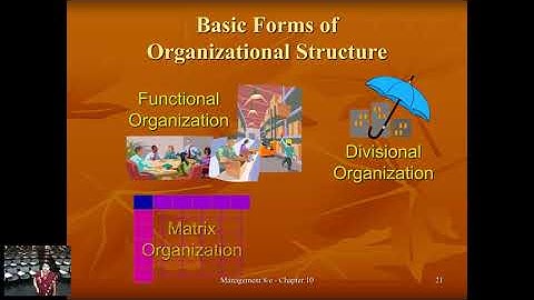 Types of Organizational Structure: Functional and Divisional- Product Geographic, Customer, Process