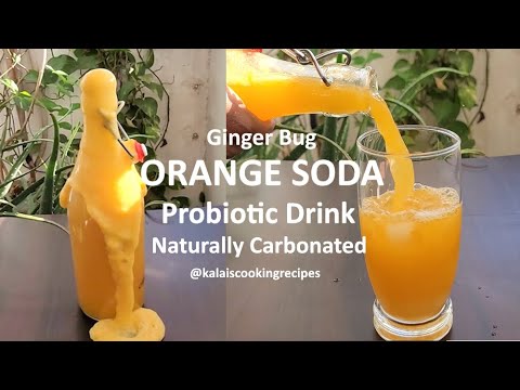 Naturally Carbonated Orange Soda made with Ginger bug | Probiotic Drink Summer Special Homemade Soda