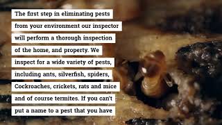 Termite Expert Penrith with High Technologies Treatment