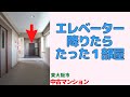東大阪市菱屋西【万葉ハイツ小阪菱屋西】の室内動画です