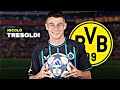 Nicolò Tresoldi Welcome To Borussia Dortmund Future Star Skills Goals Nicolò Tresoldi Welcome To Borussia Dortmund Future Star Skills Goals