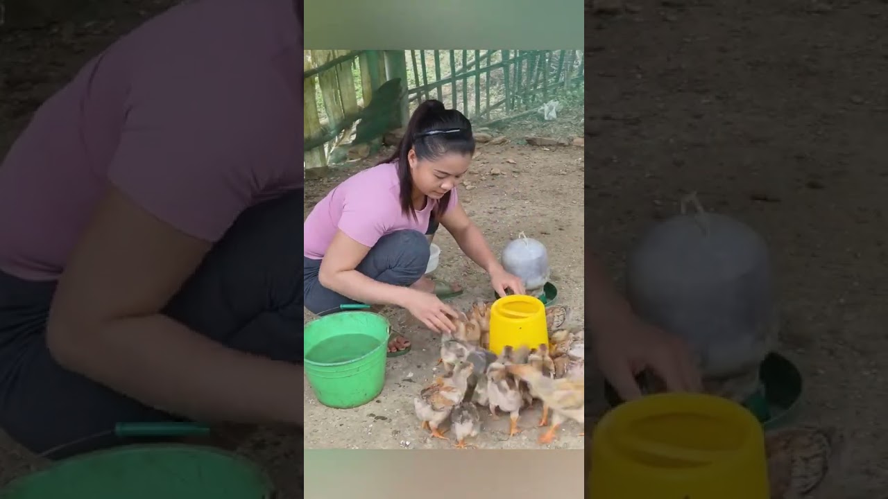 Backyard Bushcraft Harvest | Fresh Garden Food & Farm Life 🐓🌾