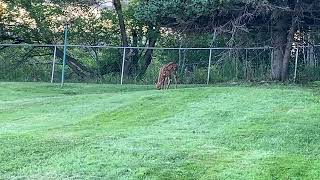 IMG 1914