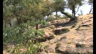 Govardhana hill -