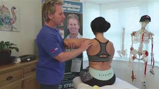 John Gibbons - Soft tissue techniques for supraspinatus, Infraspinatus, and Teres Minor
