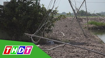 An toàn điện trong sản xuất nông nghiệp (15/6/2019) | Điện và cuộc sống | THDT