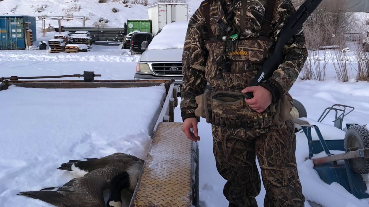 Colorado Duck and Goose Hunting 2019 Littleton Colorado YouTube