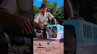 These Animals Survived In The Most Unbelievable Ways