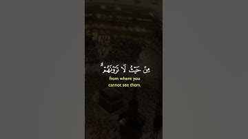 #صلاح_بوخاطر #القرآن_الكريم #آيات #راحة_نفسية #ارحقلبك