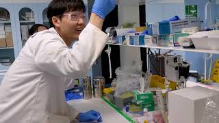 Study Innovative Energy Research With Exciton Science