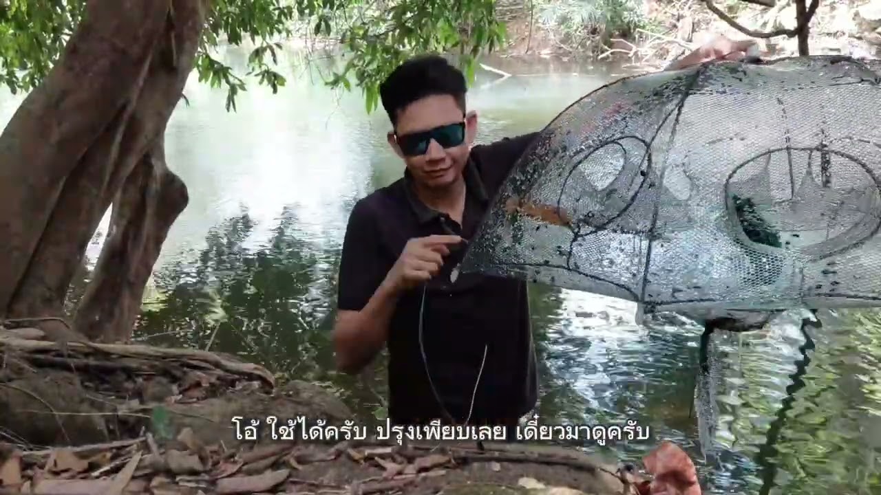 EP.8 ดักกุ้งน้ำตกได้ปลาแขยง(ฝนตกมีผลกับกุ้ง)