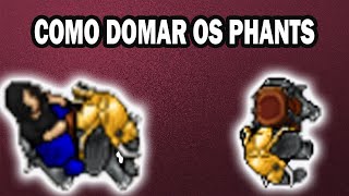 Tibia - Como pegar a montaria Phants