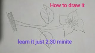 flower drawing easy #asisdraw #flower #drawing #art