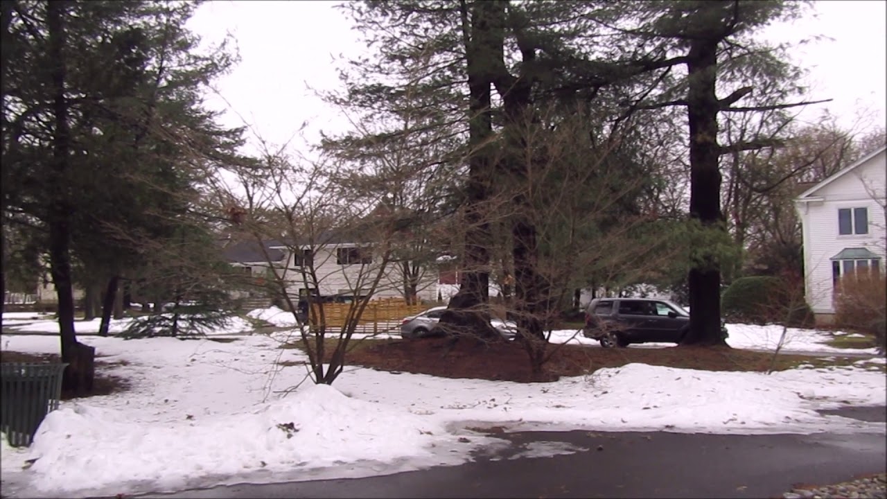 Visiting Brookdale Park, Montclair, New Jersey, March 1, 2021