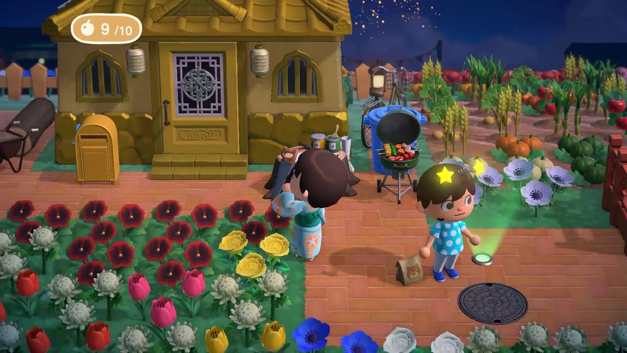 I Watched The Fireworks Show With Diego (Featuring: Ryan) In Animal Crossing New Horizons