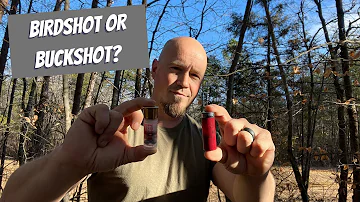 Birdshot or Buckshot for Home Defense?