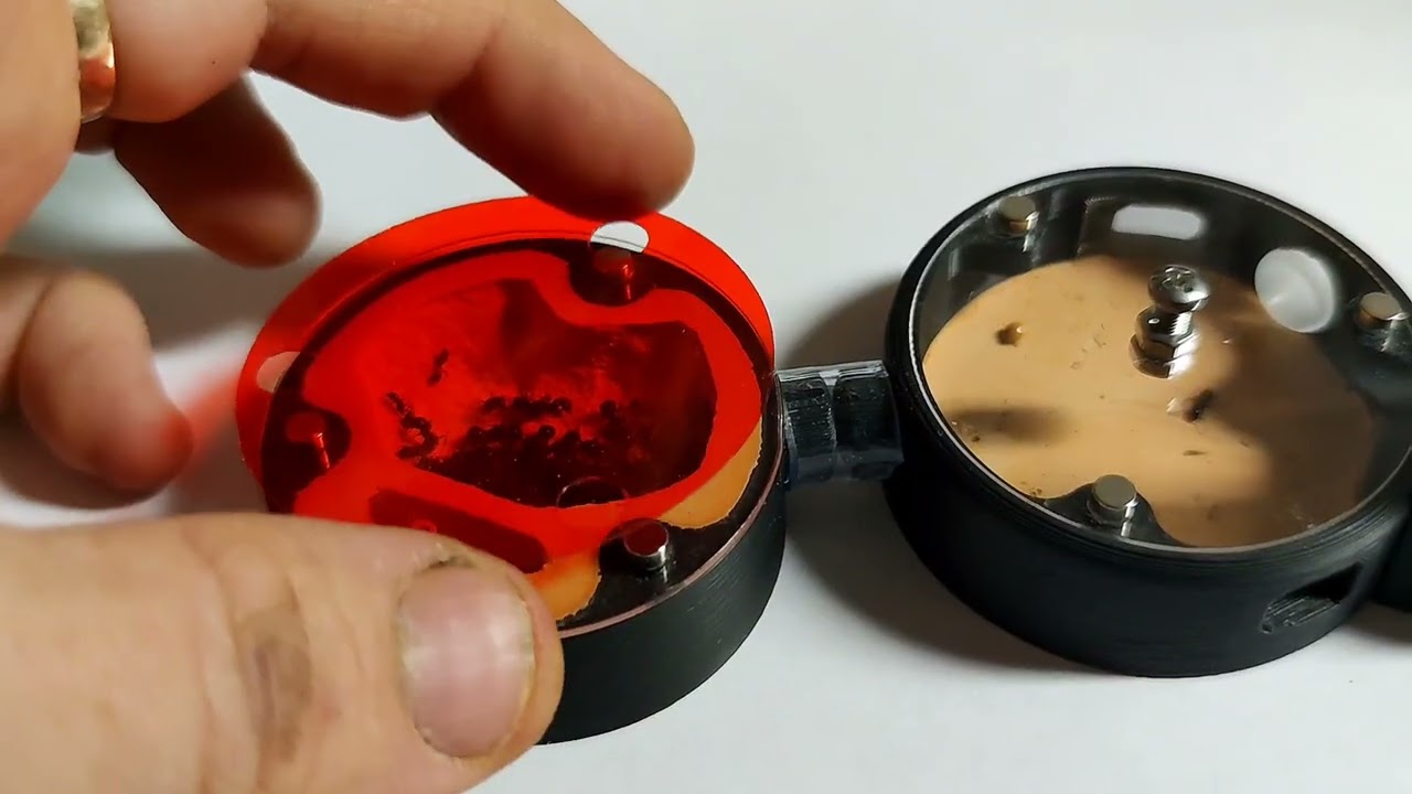 Představení formikária Start od AntsEurope