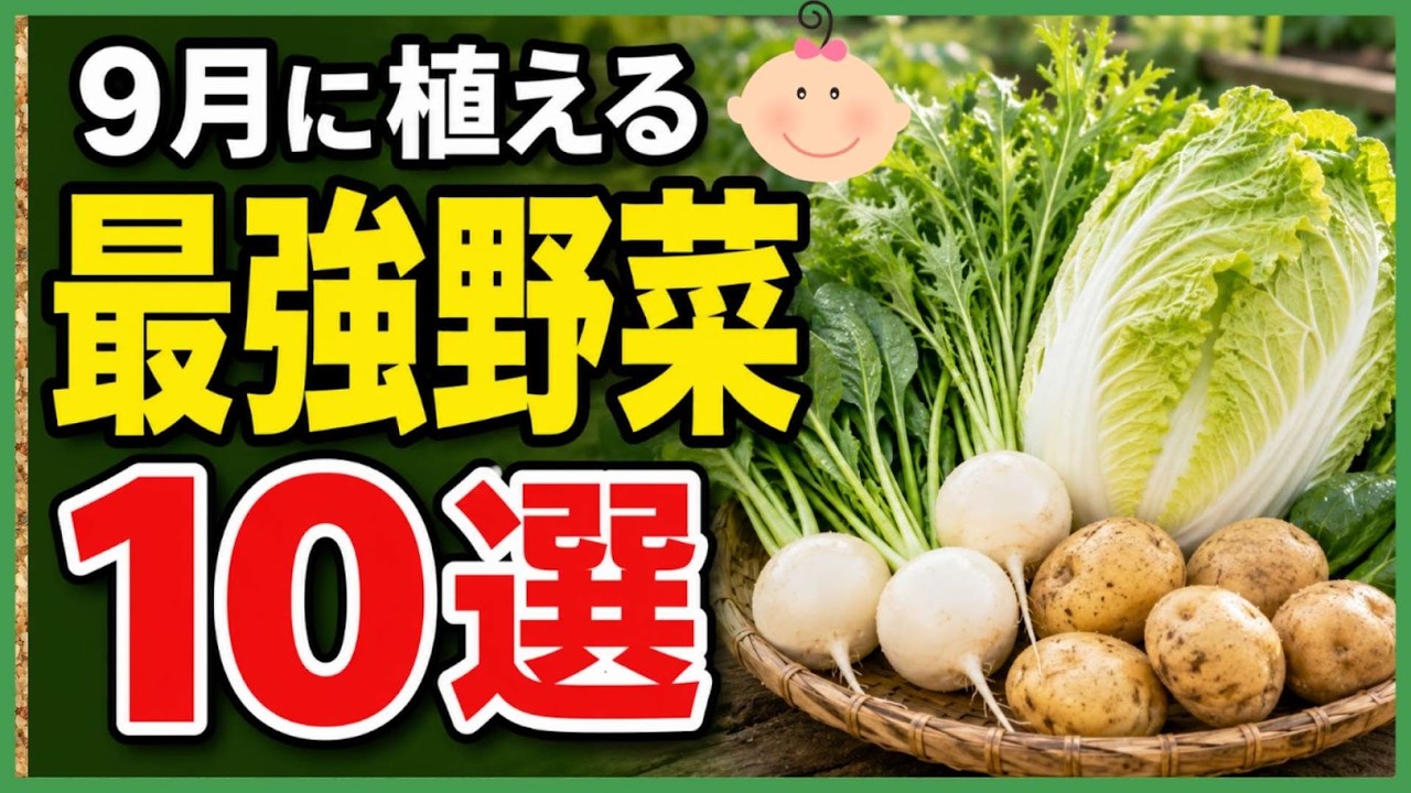 Easy Even for Beginners! 10 Best Fall/Winter Vegetables to Plant