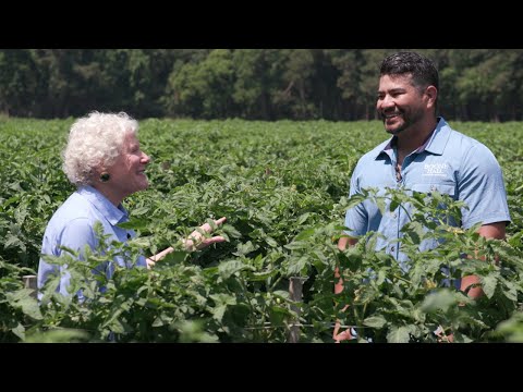 Video: Vad är boone hall plantage?