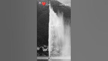 الجزء ١ من سورة #القيامة للشيخ #محمد #قرآن❤️