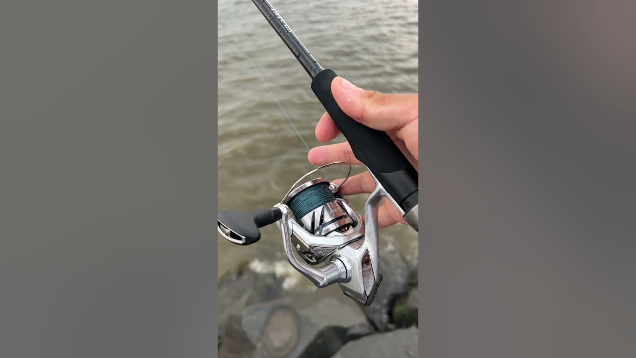 New Shimano Stradic C3000XG FM reel on Tatula rod,fluke combo?! #fishing # shimano #shorts #subscribe 