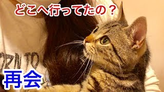 猫が1日振りに大好きな妹と再会するとこうなりますｗ