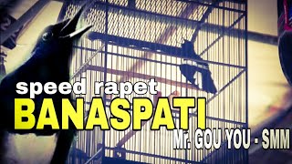 KACER BANASPATI MR GOU YOU - SMM SPEED RAPAT DAN  SAYAP GETAR MENCURI PERHATIAN JURI DAN PENONTON