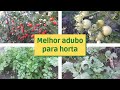 MELHOR ADUBO PARA HORTA/ Reformando os canteiros.