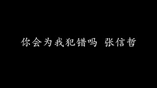 你会为我犯错吗 张信哲 (歌词版)